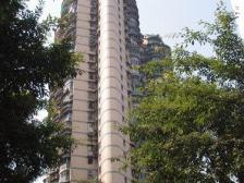 解放碑商圈,三轻轨电梯房.明厨明卫大阳台