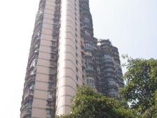 七星岗电梯房,三房双卫大阳台,视野采光好