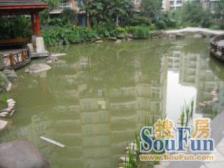 新尚城 6室4厅 南 北