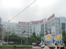 典雅森林花园 3室1厅 东南