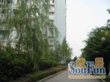 李家沱 巴蜀怡苑二房56.6万