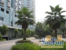 岔路口轻轨站旁 电梯2室 小区环境好 看房方便