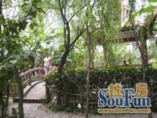 巴蜀怡苑,现代精装大3房带书房,门口都是轻轨单价7千