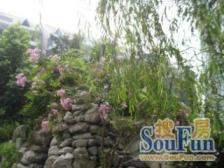 李家沱 巴蜀怡苑二房55万