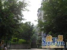 户型方正 采光好 房源集中 配套设施齐全