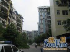 典雅森林花园 3室1厅 南