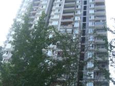 南開小雪 业主自住两室 诚心出售静待有缘人 欢迎带看