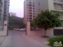 城南康宁路224号 3室2厅 东南