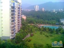 精装修,电梯房,出行方便,户型采光好。环境优雅清新