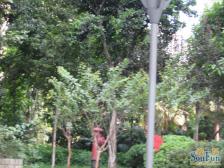 地铁一号线 房子户型方正 业主诚心出售