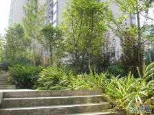 1号线轻轨站楼上小两房业主诚心卖价可谈看房