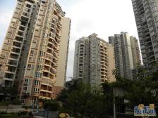 沙坪公园旁 雅豪丽景 正规两房 户型反正近金沙天街