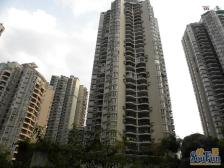 三峡广场 雅豪丽景二房88.5万