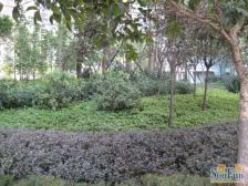 房屋户型结构方正,采光充足视野好,精装大三房诚心卖