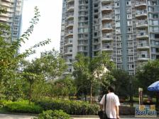 杨公桥 华宇西城丽景二房68万