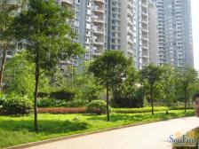 杨公桥 华宇西城丽景三房150万