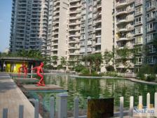 杨公桥 华宇西城丽景三房109万