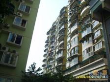 怡锦苑 3室1厅 西南