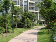 冉家坝 劲力五星城(一期)二房105万