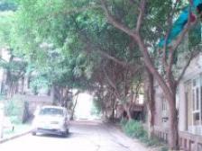 龙溪镇 卉景花园二房