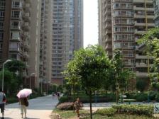 冉家坝 天邻风景二房103万