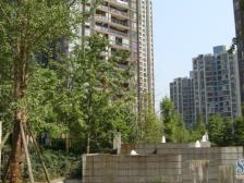 冉家坝 龙湖物业 三轻轨出行 朝南看中庭 看房方便