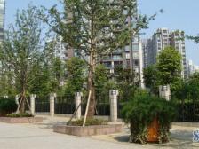 北部新区尚源印象二房