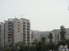 空港 尚阳康城 精装两室