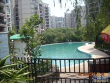 空港转盘旁 精装大四房 户型好采光好