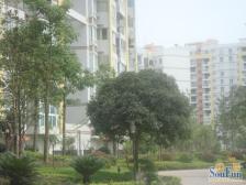 两路空港 空港圣地三房68万