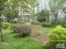 两路空港 空港圣地二房64万