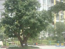 两路空港 空港圣地二房