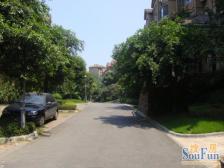 绿地翠谷联排别墅,小区中间位置,带车位花园诚心出售