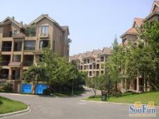 绿地翠谷三期 4室3厅 南