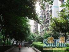 龙溪镇 金龙苑小区二房56万