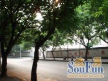 龙溪镇 金龙路二房65.1万