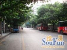 金龙路 2室1厅 东南