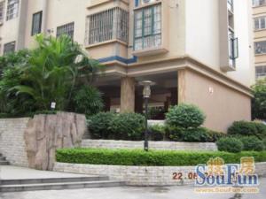 园玄电梯房精装修南向店长强力推介
