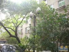 省政府大院 南北通透,采光好 装修好,环镜优美 近地铁 周边匹套完善,,出行方便