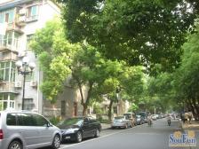 大院少有的大平层,少有的横厅,全天太阳