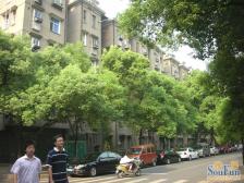 双育新 三间楼层 全天太阳 房东诚心出售