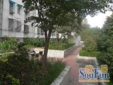 仙霞·虹城公寓·1室·1厅