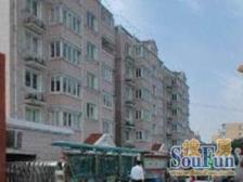 紫叶花园 2室1厅 南