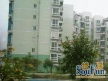 紫竹苑(奉贤) 1室1厅 南 北