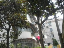 双南双阳台 近五角场 优质户型 得房率高