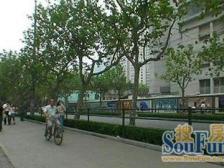 此房满五不 V一,两房朝南,视野开阔,阳光满屋