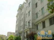 香港开发商,新上大三房,小高层,双轨地铁口,公园旁