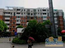 双轨出行,空中别墅,6米挑空,百万精装,拎包入住!