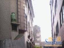 银杨大厦 2室1厅 南