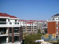 精装下叠别墅,业主诚意出售 带花园以及地下室